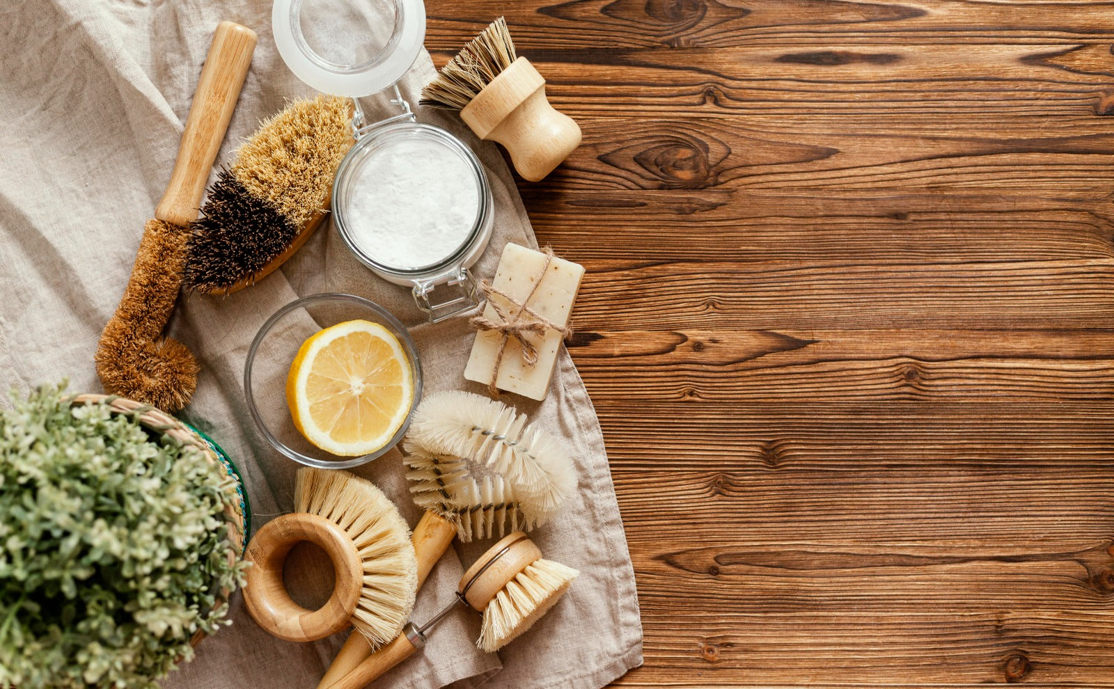 Natural Health Products